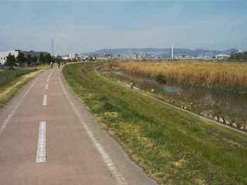 農業公園東土手から北