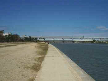 990411_03_route43.jpg (5877 バイト)