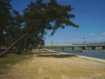 990411_04_hansin.jpg (9435 バイト)