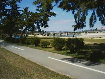 990411_05_muko_oohasi.jpg (13638 バイト)
