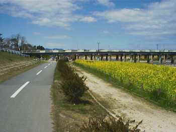 990411_07_kamimuko_3.jpg (10331 バイト)