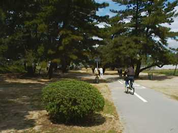 990411_09_end.jpg (13027 バイト)