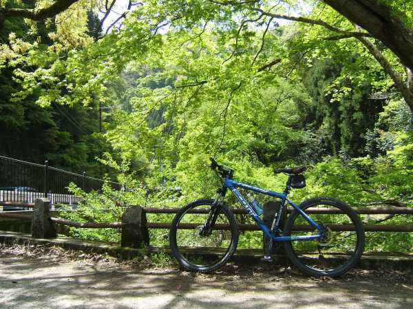 箕面川沿い