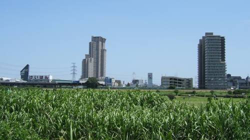 河川敷のくずはゴルフ場、向こうは京阪楠葉駅