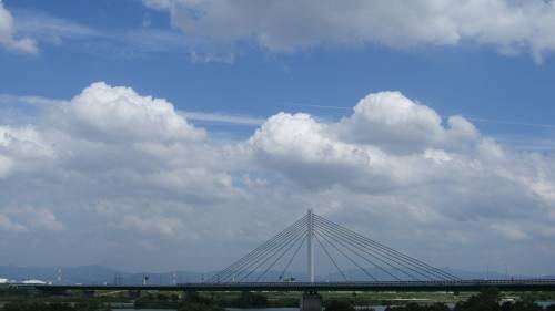 鳥飼仁和寺大橋