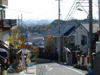 南を望む。もう暫くで登りが終わる。