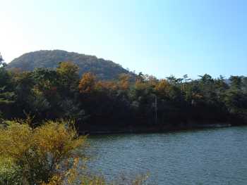 990411_05_muko_oohasi.jpg (13638 バイト)