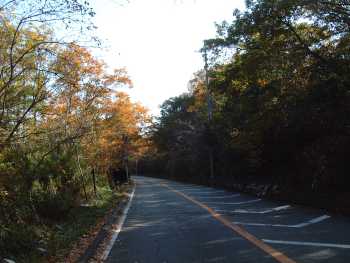 西宮市甲山町