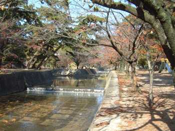 夙川公園