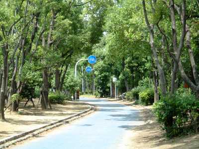 大野川遊歩道
