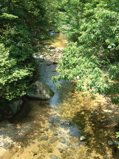 甲山橋から見た仁川上流