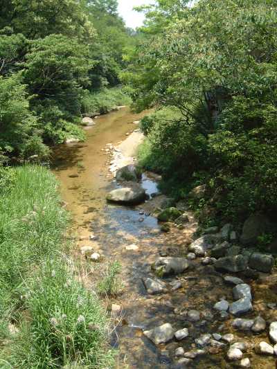 甲山橋から見た仁川下流