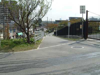 毛馬閘門から大川(旧淀川)左岸沿いの遊歩道