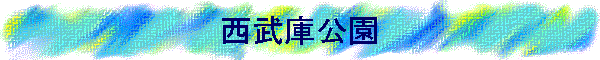 Ɍ