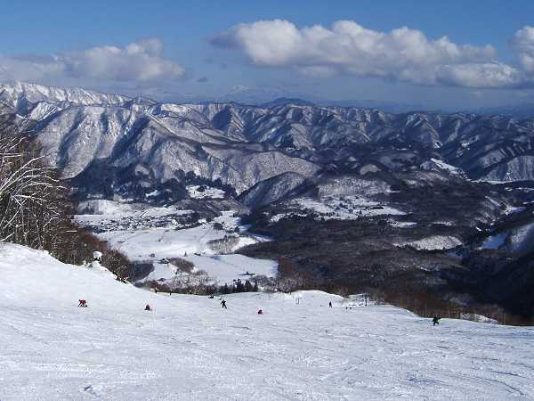 ハンの木コース中間