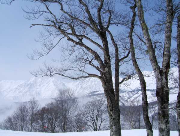栂の森ゲレンデ最上部(つが第2ペアリフト降場横)から白馬三山