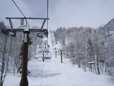リフトの下も、新雪で真っ白です