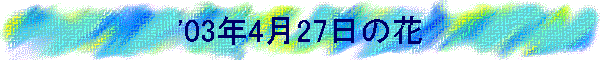 '03N427̉