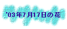 '03N717̉