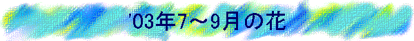 '03N7`9̉