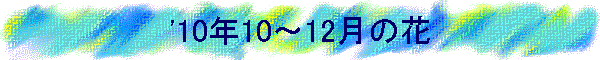 '10N10`12̉