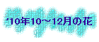 '10N10`12̉