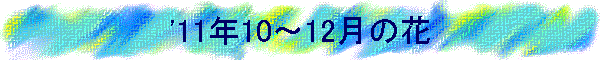 '11N10`12̉