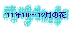 '11N10`12̉