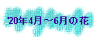 '20N4`6̉