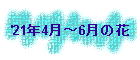 '21N4`6̉