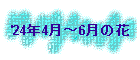 '24N4`6̉