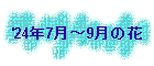 '24N7`9̉