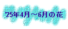 '25N4`6̉