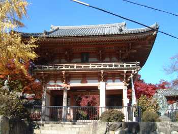 久安寺、仁王像の楼門