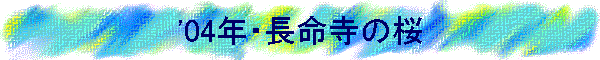 '04NE̍