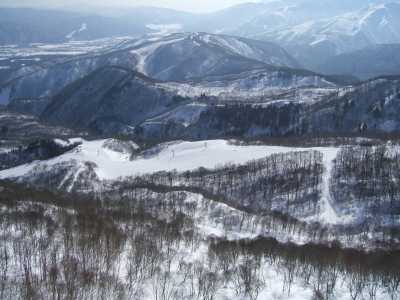 目の下にハンの木コース