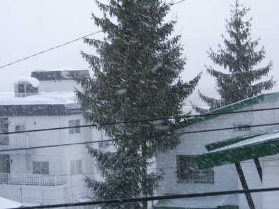 朝の降雪